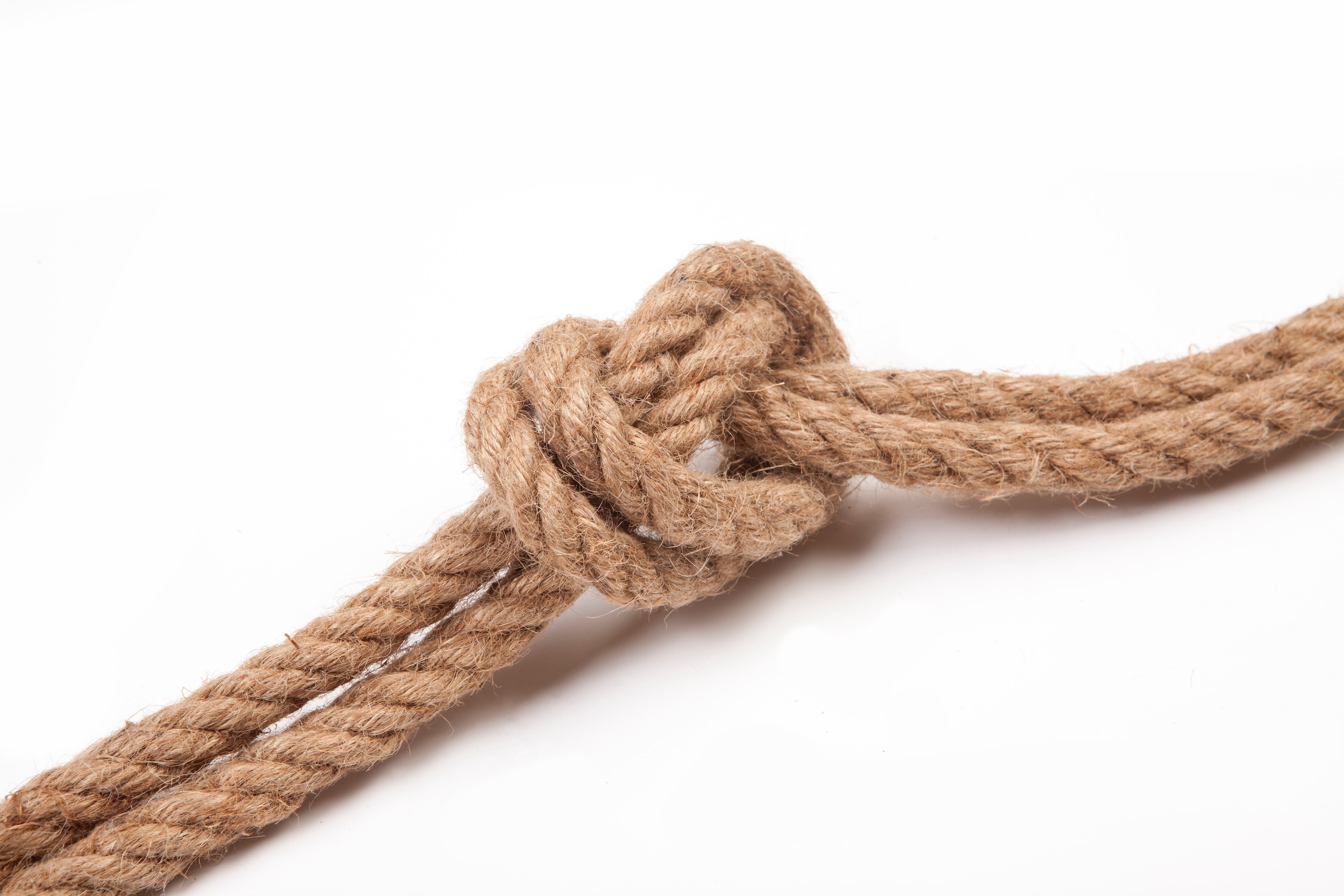 Untying the Knot: An Overview of the Divorce Process and Your Legal Options